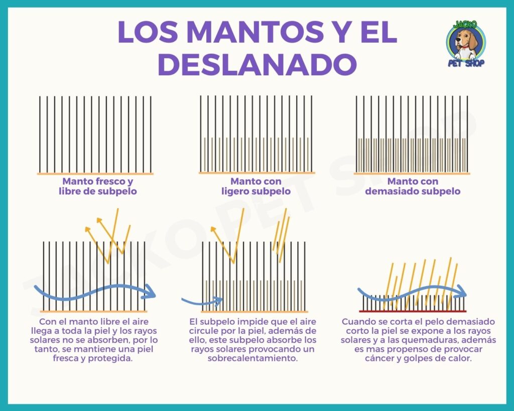 Deslanado de perros, Deslanado de Perros