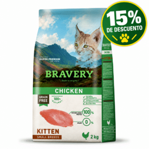 Pet shop, Inicio