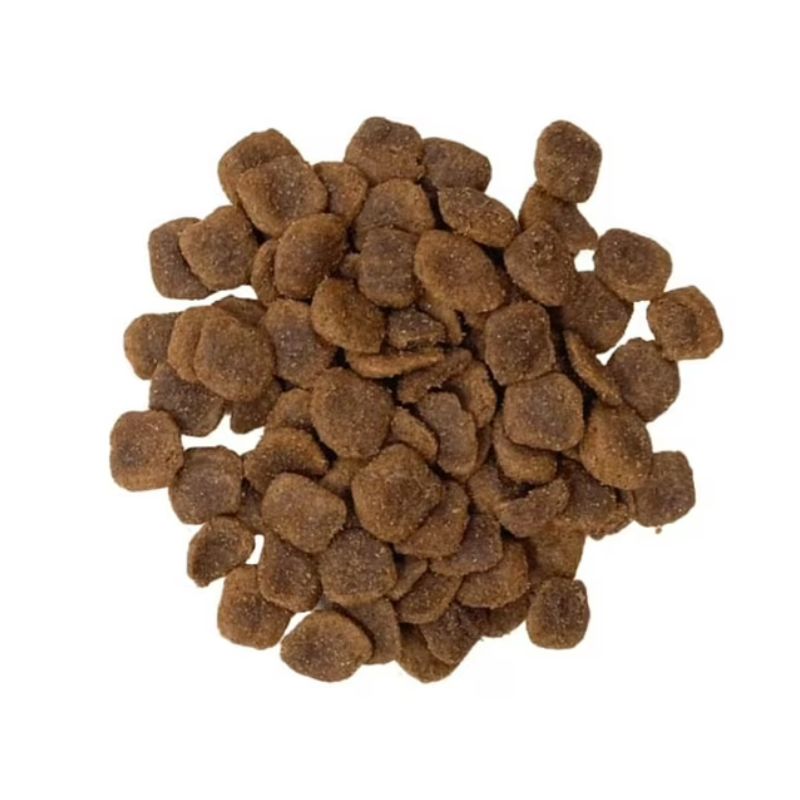 Bravery | Alimento Seco Perro Mini Adulto | Pollo 2kg