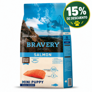 Pet shop, Inicio
