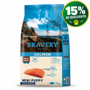 Pet shop, Inicio