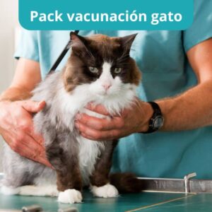 pack vacunación gato