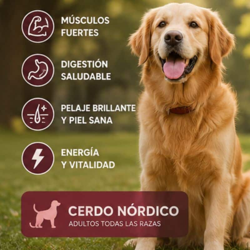 PetFamily Foods Cerdo Nordico 15kg - Imagen 3